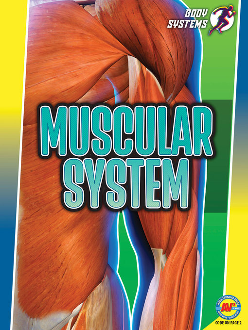 Title details for Muscular System by Simon Rose - Available